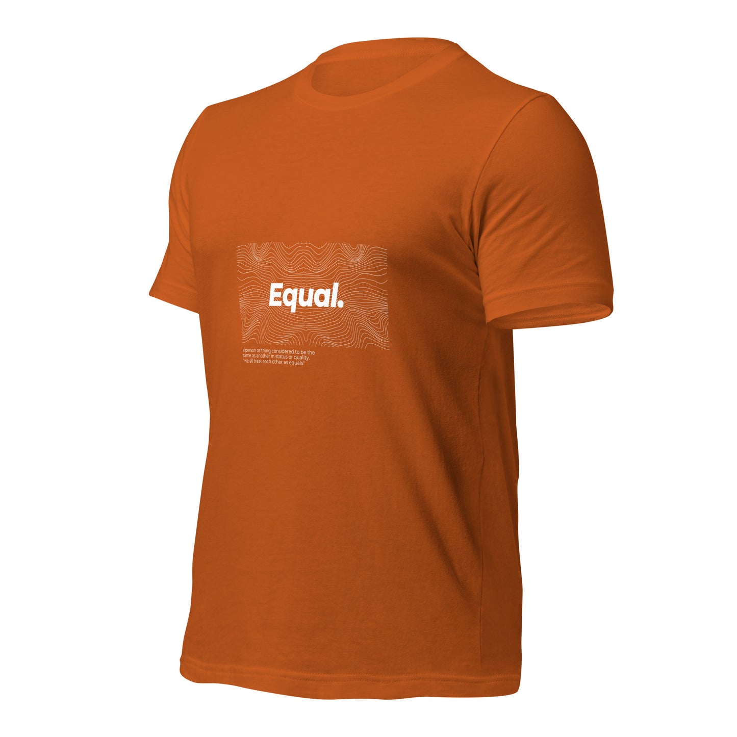 Equal T-Shirt