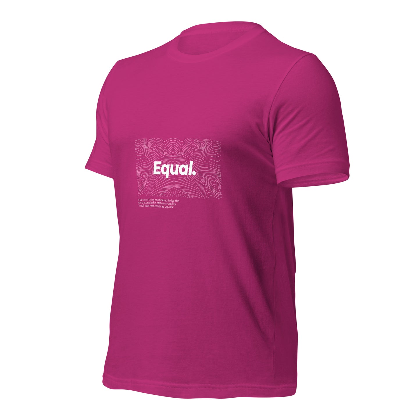 Equal T-Shirt