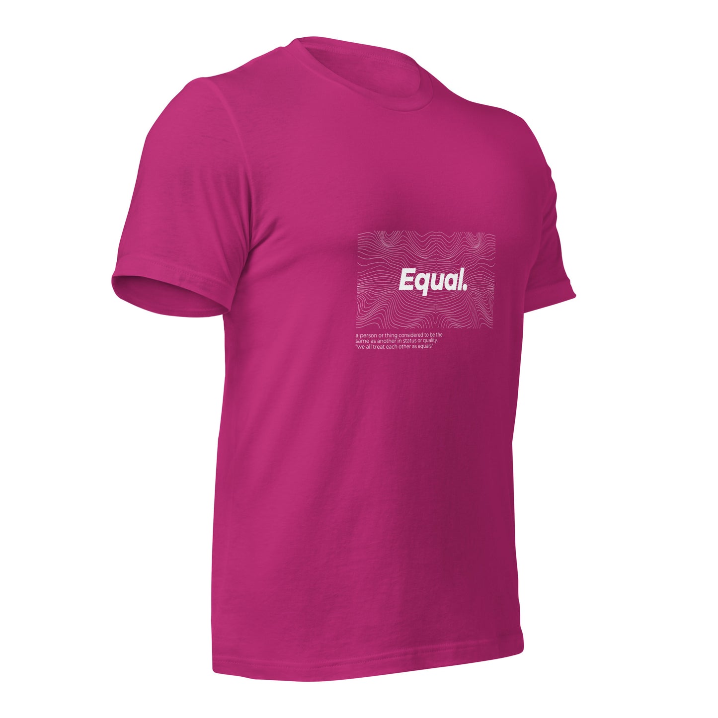 Equal T-Shirt